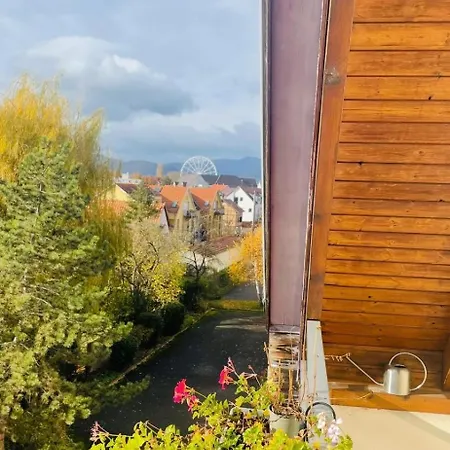 Grillen's Garden Daire