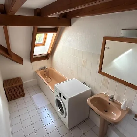 Appartement Grillen's Garden Colmar