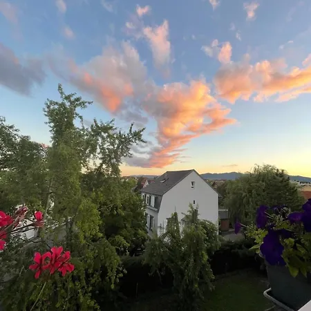 Grillen's Garden Colmar
