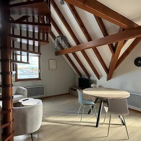 Grillen's Garden Appartement Colmar