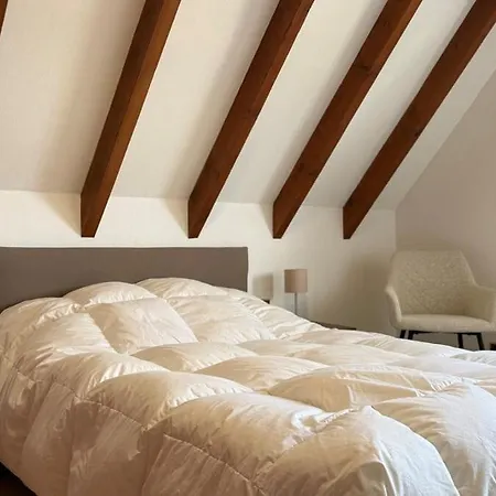 Appartement Grillen's Garden Colmar