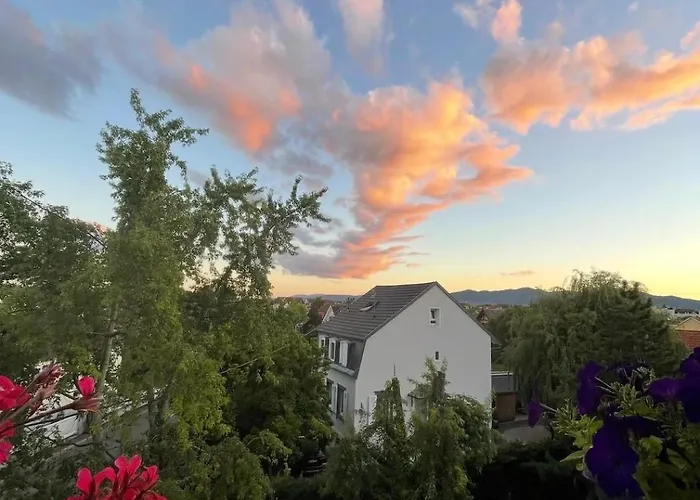 Grillen's Garden Colmar