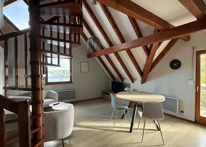 Grillen's Garden Appartement Colmar